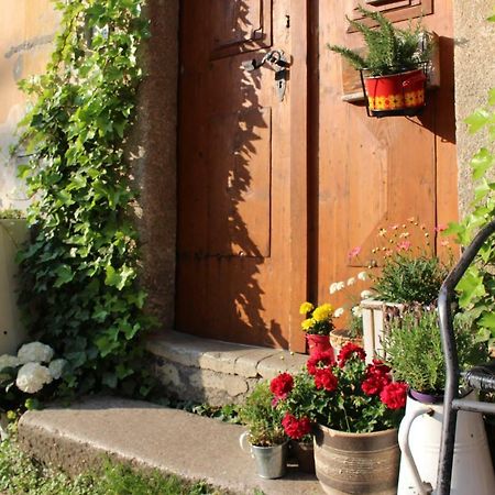 Lazy River Hostel Loket Zewnętrze zdjęcie