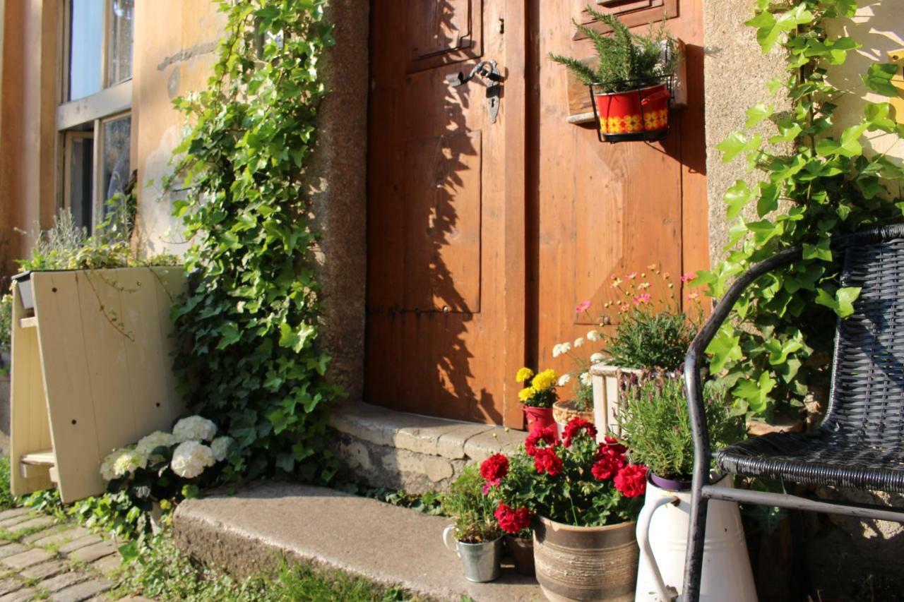 Lazy River Hostel Loket Zewnętrze zdjęcie
